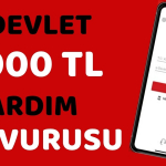1000 TL E-Devlet Yardım Başvurusu Nasıl Yapılır ? Başvuru Formu