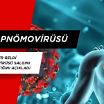 Çin'den haber geldi: Metapnömovirüsü Salgını Yayılımı Arttığını açıkladı