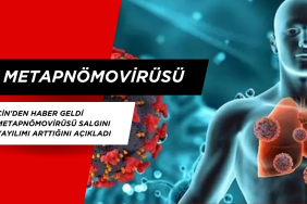 Çin'den haber geldi: Metapnömovirüsü Salgını Yayılımı Arttığını açıkladı