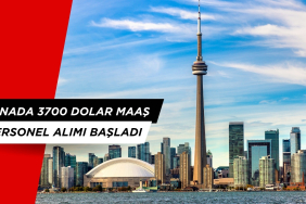 Kanada İş İlanları Habermat