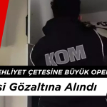 Bitlis’te Ehliyet Çetesine Büyük Operasyon: 301 Kişi Gözaltına Alındı