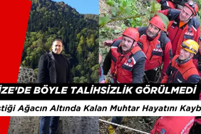 Rize'de Böyle Talihsizlik Görülmedi: Kestiği Ağacın Altında Kalan Muhtar Hayatını Kaybetti