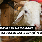 2025 Kurban Bayramı Ne Zaman? Bayrama Kaç Gün Kaldı?