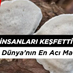 Bilim İnsaları Keşfetti: O Artık Dünya'nın En Acı Maddesi