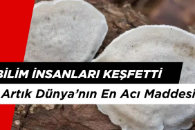 Bilim İnsaları Keşfetti: O Artık Dünya'nın En Acı Maddesi