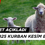 Diyanet Açıkladı: 2025 Kurban Kesim Bedeli Ne Kadar?