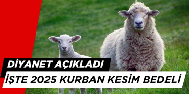 Diyanet Açıkladı: 2025 Kurban Kesim Bedeli Ne Kadar?