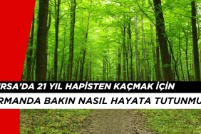 Bursa'da 21 Yıl Hapisten Kaçmak İçin Ormanda Bakın Nasıl Hayata Tutunmuş