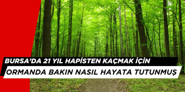 Bursa'da 21 Yıl Hapisten Kaçmak İçin Ormanda Bakın Nasıl Hayata Tutunmuş