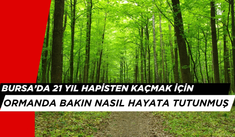 Bursa’da 21 Yıl Hapisten Kaçmak İçin Ormanda Bakın Nasıl Hayata Tutunmuş
