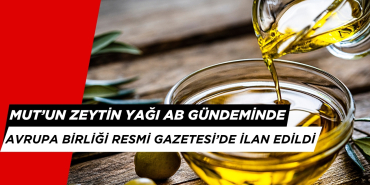Mut'un Zeytinyağı AB'de Tescillenmek Üzere. Resmi Gazetede Yayınlandı