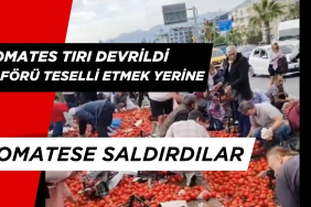 Antalya'dan Mersin'e Giden Domates Yüklü Tır Devridi. Vatandaşlar Yardım Etmek Yerine Domateslere Saldırdı