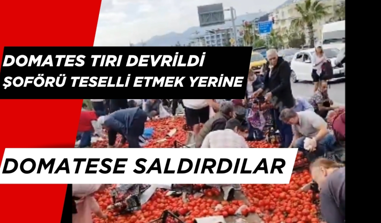 Antalya’dan Mersin’e Giden Domates Yüklü Tır Devridi. Vatandaşlar Yardım Etmek Yerine Domateslere Saldırdı