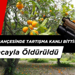 Portakal Bahçesinde Tartışma Kanlı Bitti: Tabancayla Öldürüldü