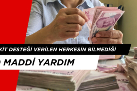 Nakit Desteği Olarak Verilen 10 Maddi Yardım