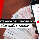 E-Devlet Üzerinden Başvurulan Fakat Kimsenin Bilmediği 5 Yardım