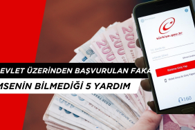 E-Devlet Üzerinden Başvurulan Fakat Kimsenin Bilmediği 5 Yardım