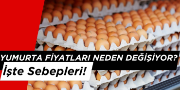Yumurta Fiyatları Neden Değişiyor? İşte Sebepleri!