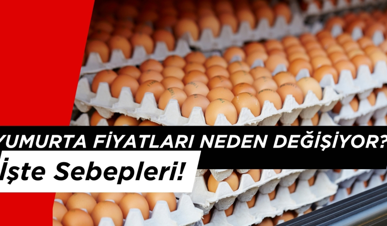 Yumurta Fiyatları Neden Değişiyor? İşte Sebepleri!