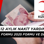 Kızılay 12 Aylık Nakit Desteği Nasıl Alınır? Başvuru Formu 2025 ve Detayları