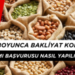 60 Ay Boyunca Bakliyat Yardımı Başvurusu Nasıl Yapılır? Başvuru Formu 2025 ve Detayları