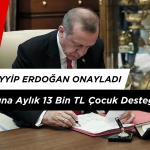 25 Yaş Altına Aylık 13 Bin TL Çocuk Desteği Başladı