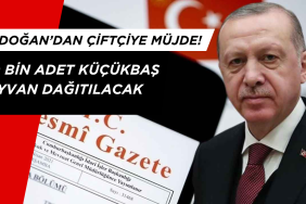 "Kırsalda Bereket, Küçükbaşa Destek"