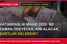 Vatandaşlık Maaşı 2026: Ne Zaman Ödeyecek, Kim Alacak, Şartlar Nelerdir?