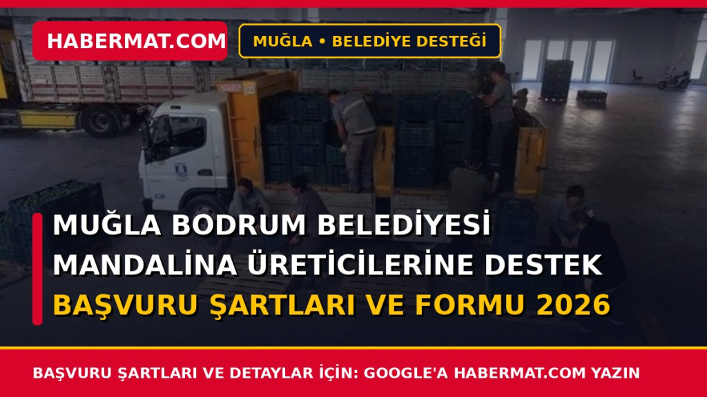 Muğla Bodrum Belediyesi Mandalina Üreticilerine Destek Başvuru Şartları ve Formu 2026