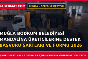 Muğla Bodrum Belediyesi Mandalina Üreticilerine Destek Başvuru Şartları ve Formu 2026
