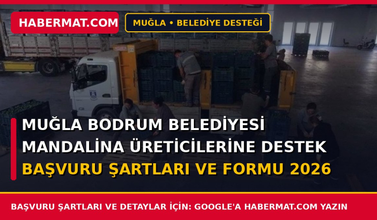 Muğla Bodrum Belediyesi Mandalina Üreticilerine Destek Başvuru Şartları ve Formu 2026