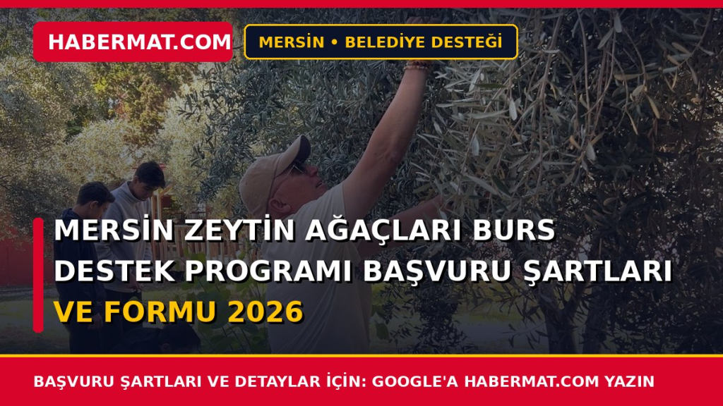 Mersin Zeytin Ağaçları Burs Destek Programı Başvuru Şartları ve Formu 2026