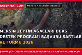 Mersin Zeytin Ağaçları Burs Destek Programı Başvuru Şartları ve Formu 2026