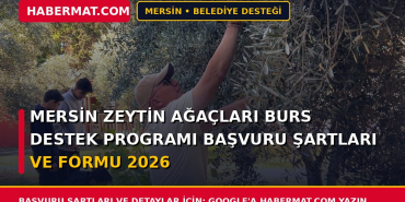 Mersin Zeytin Ağaçları Burs Destek Programı Başvuru Şartları ve Formu 2026