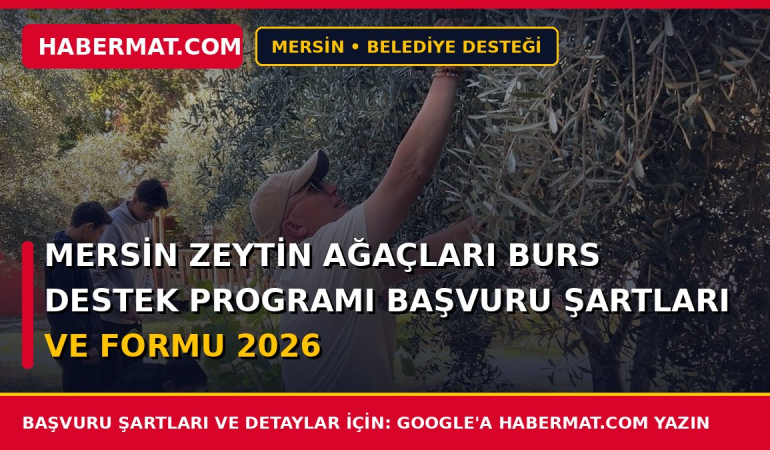 Mersin Zeytin Ağaçları Burs Destek Programı Başvuru Şartları ve Formu 2026
